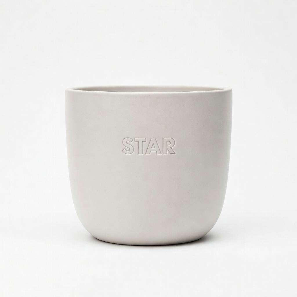 Star Saksı Deluxe