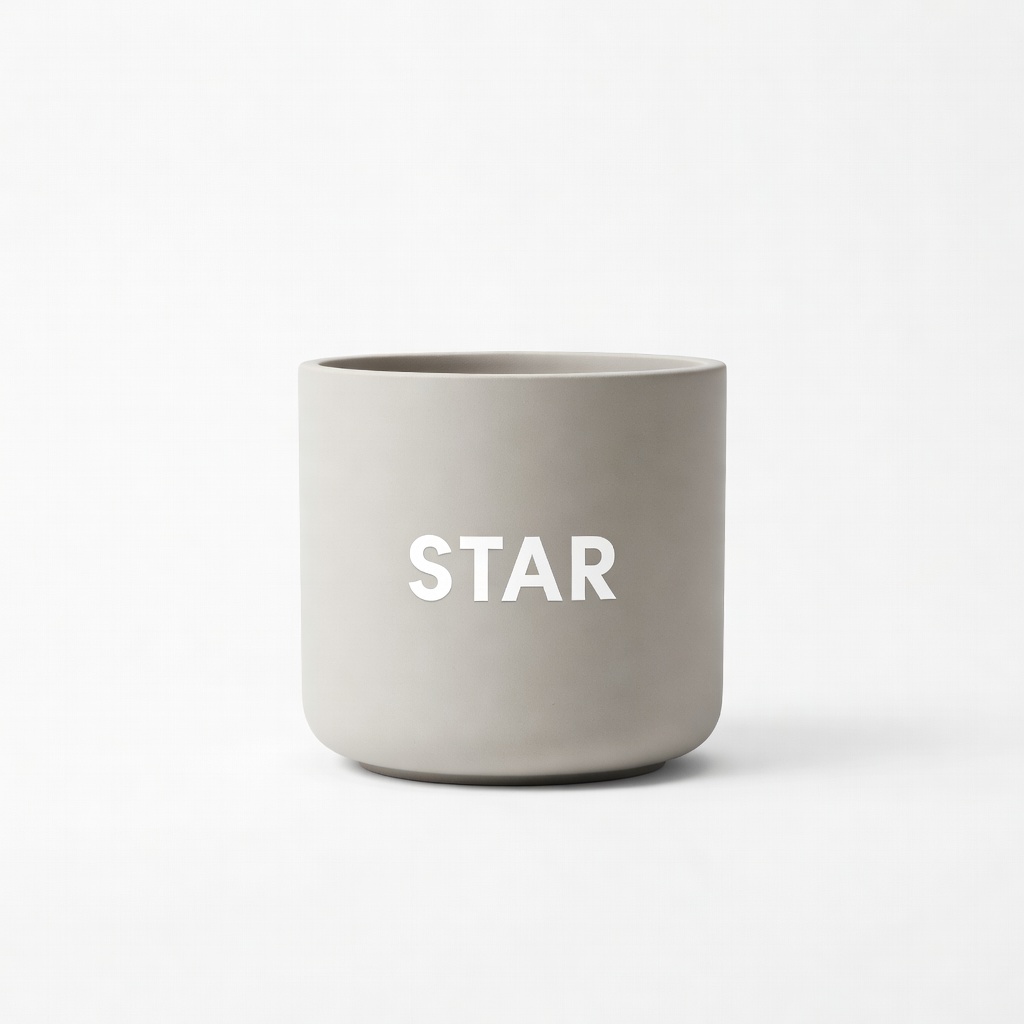 Star Saksı X