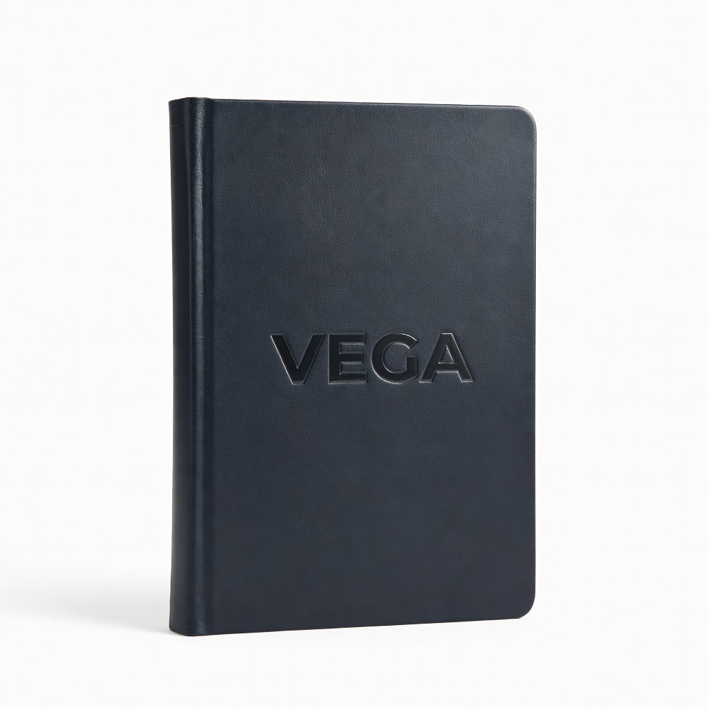 Vega Sözlük Pro